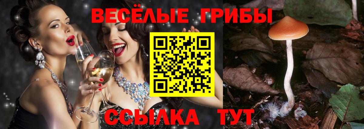 Галлюциногенные грибы мухоморы Обь
